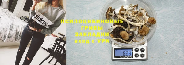 бошки Аркадак