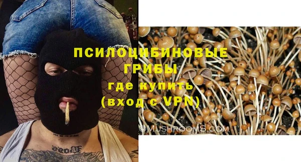 первитин Арсеньев