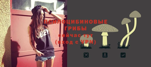 бошки Аркадак