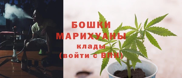 бошки Аркадак